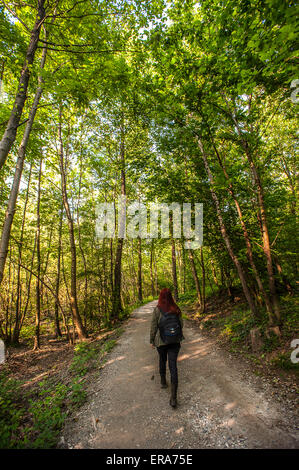 Italia Piemonte Canavese Via Francigena Ivrea foreste nelle terre ballerini Foto Stock
