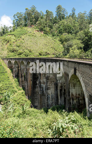 Nove archi ponte in prossimità di Ella, Hill Country dello Sri Lanka Foto Stock