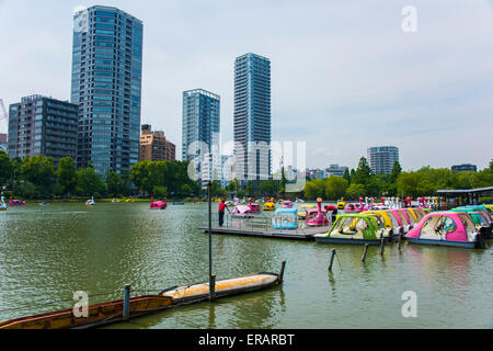 Stagno di Shinobazu,il Parco Ueno,Taito-Ku,Tokyo Giappone Foto Stock