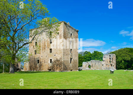 Spynie Palace, vicino al Elgin, murene, Scotland Regno Unito Foto Stock