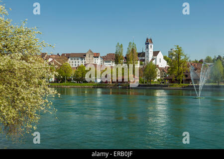 Pomeriggio di primavera di Aarau, Canton Argovia, Svizzera. Foto Stock