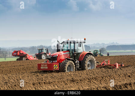 Effettuare rilievi per il raccolto di patate utilizzando un ridger tirato da un Massey Ferguson 7624, nello Yorkshire, Regno Unito Foto Stock