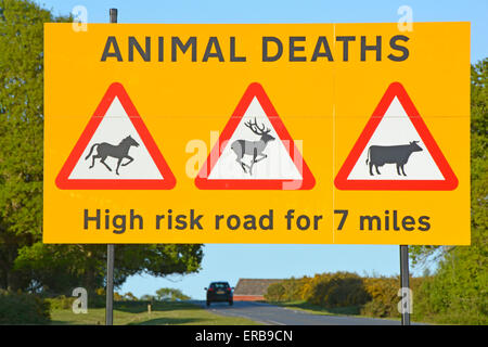 Cartello stradale attenzione agli automobilisti circa il grave rischio di incidenti che coinvolgono free roaming New Forest pony & altri animali della foresta New Hampshire England Regno Unito Foto Stock