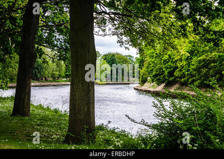 Vista sul fiume Ouse dalla sponda orientale nei pressi di Skeldergate Bridge, città di York, England, Regno Unito Foto Stock