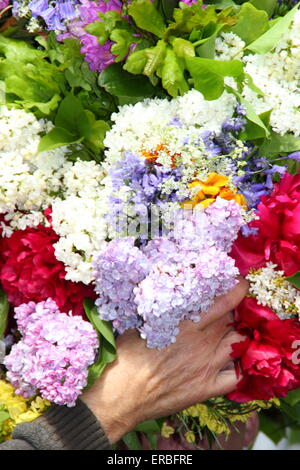 Una ghirlanda maker mettere i tocchi di rifinitura per il copricapo floreale indossati dal Garland re per celebrare la quercia giorno Apple, Castleton Foto Stock