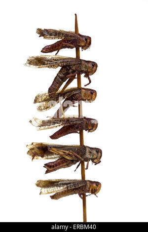 Dragonflies cotte su un bastone al mercato notturno di Donghuamen a Pechino in Cina - un esempio dello strano o strano cibo mangiato dalle persone di tutto il mondo Foto Stock