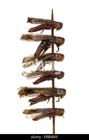 Dragonflies cotte su un bastone al mercato notturno di Donghuamen a Pechino in Cina - un esempio dello strano o strano cibo mangiato dalle persone di tutto il mondo Foto Stock