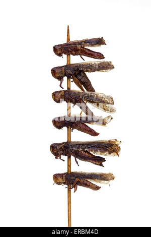 Dragonflies cotte su un bastone al mercato notturno di Donghuamen a Pechino in Cina - un esempio dello strano o strano cibo mangiato dalle persone di tutto il mondo Foto Stock