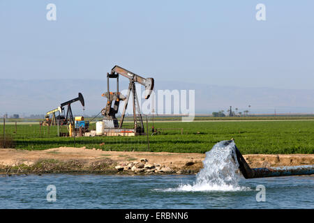 Donkey pompe operanti nel campo di carota, irrigazione pond. Foto Stock