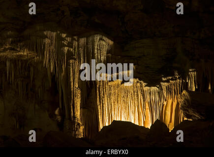 Parco nazionale di Carlsbad Cavern Foto Stock