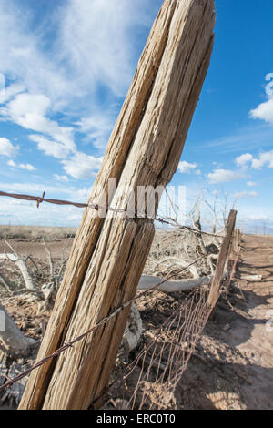 Vecchi pali di recinzioni di filo spinato teso tra loro. Foto Stock