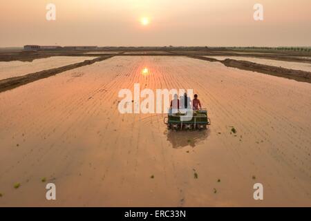 Hohhot,Monglia Regione autonoma. Il 1 giugno, 2015. Gli agricoltori azionare una macchina per trapianto di piantine di riso in una risaia con soluzione salina-terreno alcalino Xiaodanba nel villaggio di Hohhot, northMonglia Regione autonoma, Giugno 1, 2015. Credito: Wang Zheng/Xinhua/Alamy Live News Foto Stock