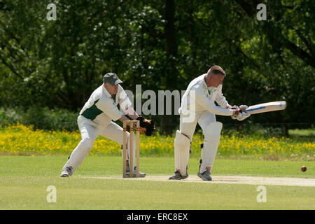 Village cricket a lunga Itchington, Warwickshire, Inghilterra, Regno Unito Foto Stock