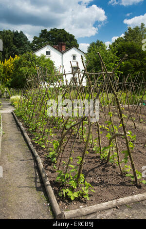 Regno Unito, Inghilterra, Cheshire, Styal, Quarry Bank Mill, Apprendista House, i baccelli in orti Foto Stock