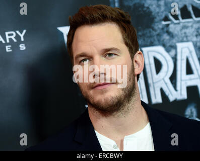 Berlino, Germania. Dal 01 Giugno, 2015. Noi attore Chris Pratt pone durante un photocall per il film "Jurassic World" di Berlino, Germania, 01 giugno 2015. Il filmato sarà in tedesco cinema a partire dall'11 giugno 2015. Foto: Britta Pedersen/dpa/Alamy Live News Foto Stock