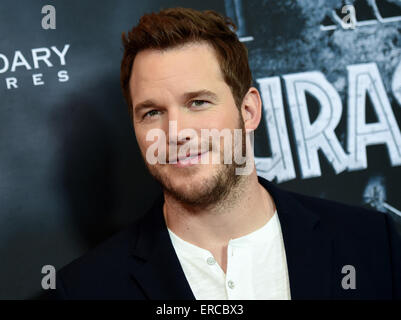 Berlino, Germania. Dal 01 Giugno, 2015. Noi attore Chris Pratt pone durante un photocall per il film "Jurassic World" di Berlino, Germania, 01 giugno 2015. Il filmato sarà in tedesco cinema a partire dall'11 giugno 2015. Foto: Britta Pedersen/dpa/Alamy Live News Foto Stock