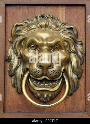 Leone di Bronzo respingente porta palazzo Łazienki Varsavia POLONIA Foto Stock