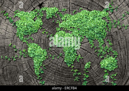 Diffusione globale del concetto e lo sviluppo come un concetto di business con una mappa del mondo fatto di un gruppo organizzato di persistente di foglie di vite che cresce su un albero morto tronco come la conservazione ambientale simbolo e icona per il rinnovo. Foto Stock