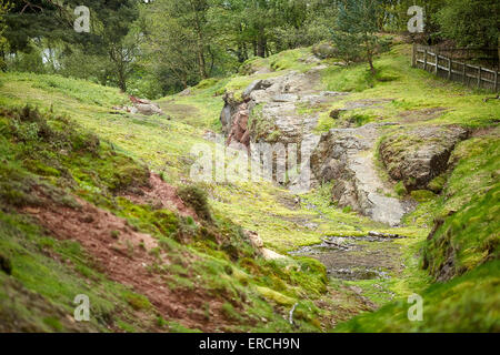 Raffigurata sul bordo di pietra arenaria, vista dal punto di tempesta oltre al Pennines alberi il bordo a Alderley è una cresta di terra separ Foto Stock