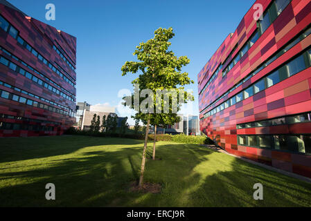YANG Fujia e moderni edifici sul Giubileo Campus, Università di Nottingham, Nottinghamshire REGNO UNITO Inghilterra Foto Stock