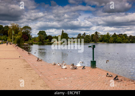 Il lungomare accanto alla mera a Ellesmere (noto come Shropshire's Lake District), Shropshire, Regno Unito Foto Stock