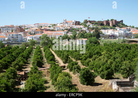 Castello di Silves sulla cima di una collina domina la città e gli agrumi crescente area nella regione dell'Algarve del Portogallo meridionale Foto Stock