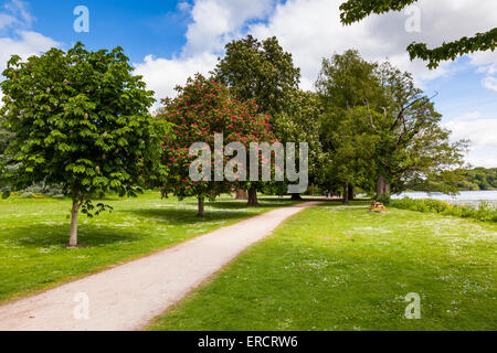 Il percorso del bosco attraverso Cremorne giardini accanto alla mera, Ellesmere (noto come Shropshire's Lake District) Shropshire, Regno Unito Foto Stock