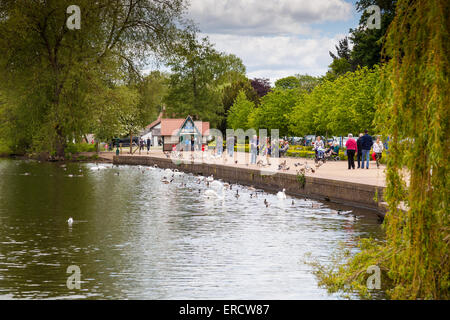 La passeggiata verso Il Boathouse cafe accanto alla mera a Ellesmere (noto come Shropshire's Lake District), Shropshire, Regno Unito Foto Stock