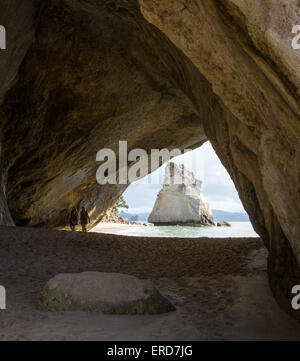 Arco di roccia che collega Cove della cattedrale e il mare è la gamba Cove lungo la costa del Coromandel nell Isola del nord della Nuova Zelanda Foto Stock