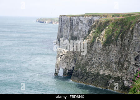 Scogliere intorno a Flamborough Head - North Yorkshire Foto Stock