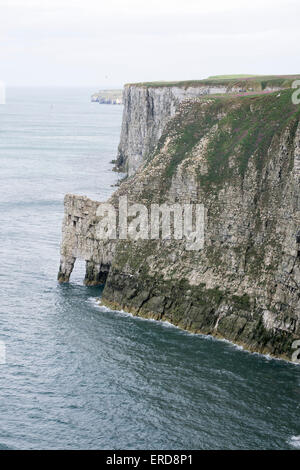 Scogliere intorno a Flamborough Head - North Yorkshire Foto Stock