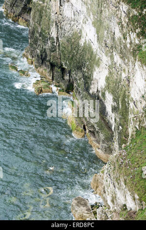 Scogliere intorno a Flamborough Head - North Yorkshire Foto Stock