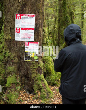 Entrata al Lago Gunn la natura a piedi in Fjordland Isola del Sud della Nuova Zelanda di avvertimento di trappole e veleni utilizzati per il controllo di parassiti Foto Stock