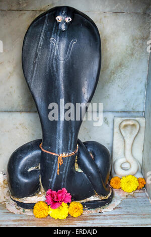 Mumbai India,BREACH Candy,Cumballa Hill,Shri Sadhubella Temple,religione,religiosa,altare,statua,serpente,cobra,India150301225 Foto Stock