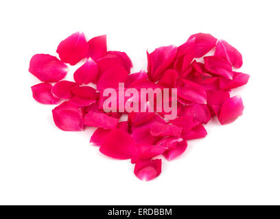 Forma di cuore fatta di petali di rosa in colore rosso brillante, su sfondo bianco Foto Stock