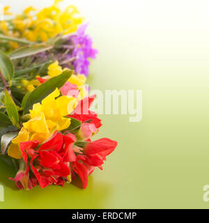 Luminose, coloratissimi fiori selvaggi sul gradiente dello sfondo verde Foto Stock