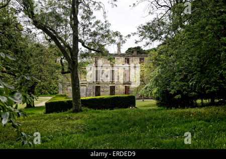 Appuldurcombe House è ora un guscio deserte, il mansion lungo abbandonato ma ora curata dalla tradizione inglese. Foto Stock