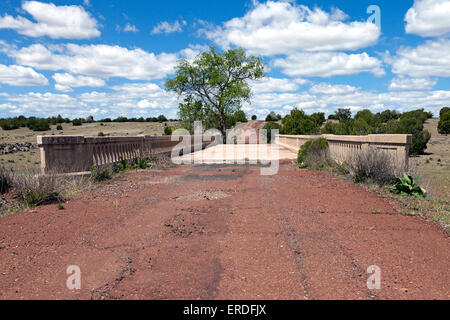 Partridge Creek ponte lungo una sezione abbandonata di Route 66 West di cenere forcella, Arizona. La pernice Creek bridge è meglio sapere Foto Stock