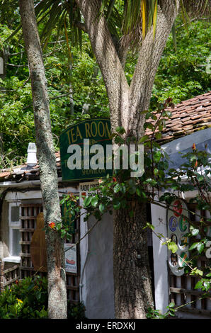 Tea shop in Guernsey Foto Stock