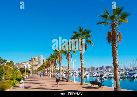 Passeggiata da Porto di Alicante, Alacant, Costa Blanca, Spagna Foto Stock