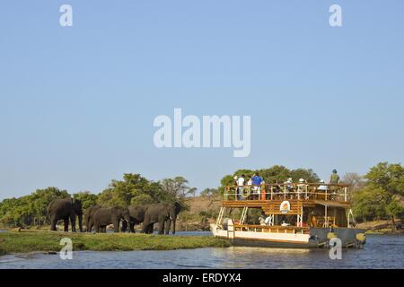 Gli elefanti africani e touristboat Foto Stock