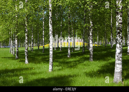 Scenario di sole nel parco, Imatra Finlandia Foto Stock