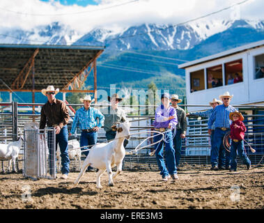 Cowboy guardando boy buttare lazo nella rodeo Foto Stock