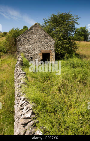 Regno Unito, Inghilterra, Staffordshire, Dovedale, Milldale, campo fienile in pendenza prato sopra il fiume Colomba Foto Stock
