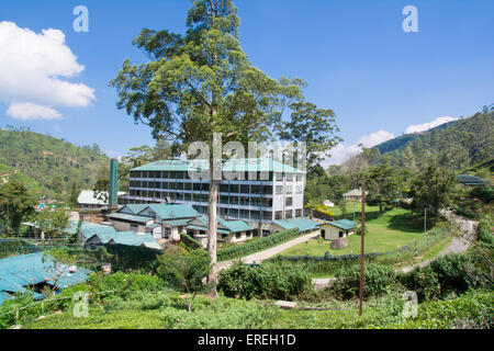 Mackwoods labookellie tea factory e di centro di tè a labookellie Foto Stock