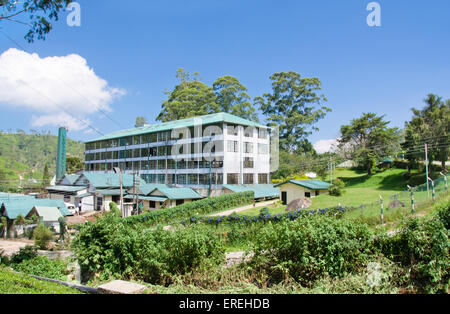 Mackwoods labookellie tea factory e di centro di tè a labookellie Foto Stock