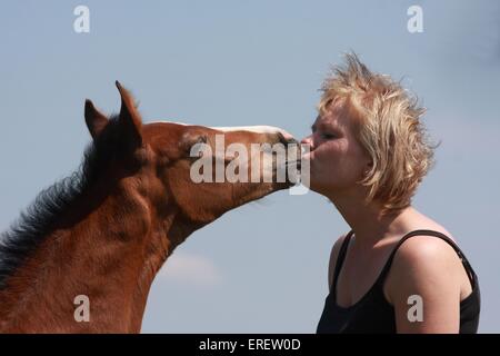 Donna e cavallo Holsteiner puledro Foto Stock