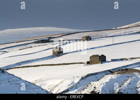 Tradizionale di pietra fienili in Swaledale superiore dopo una tempesta di neve, Yorkshire Dales, UK. Foto Stock