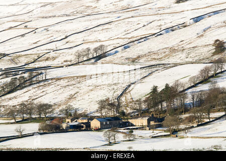 Hill Farm vicino Semerwater nel Yorkshire Dales, su un giorno inverni. Foto Stock