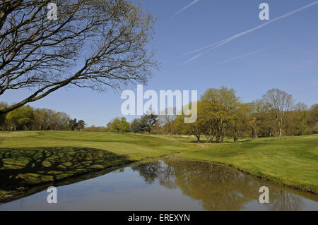 Vista sul laghetto e albero del quarto foro con riflessioni, Thorndon Park Golf Club Brentwood Essex Inghilterra Foto Stock